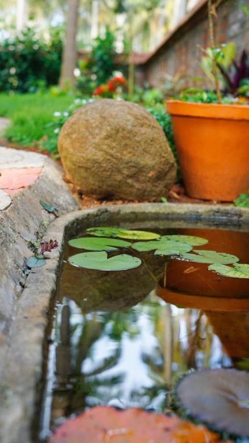 Dr Nisha'S Vedic Remedies Thiruvananthapuram Εξωτερικό φωτογραφία